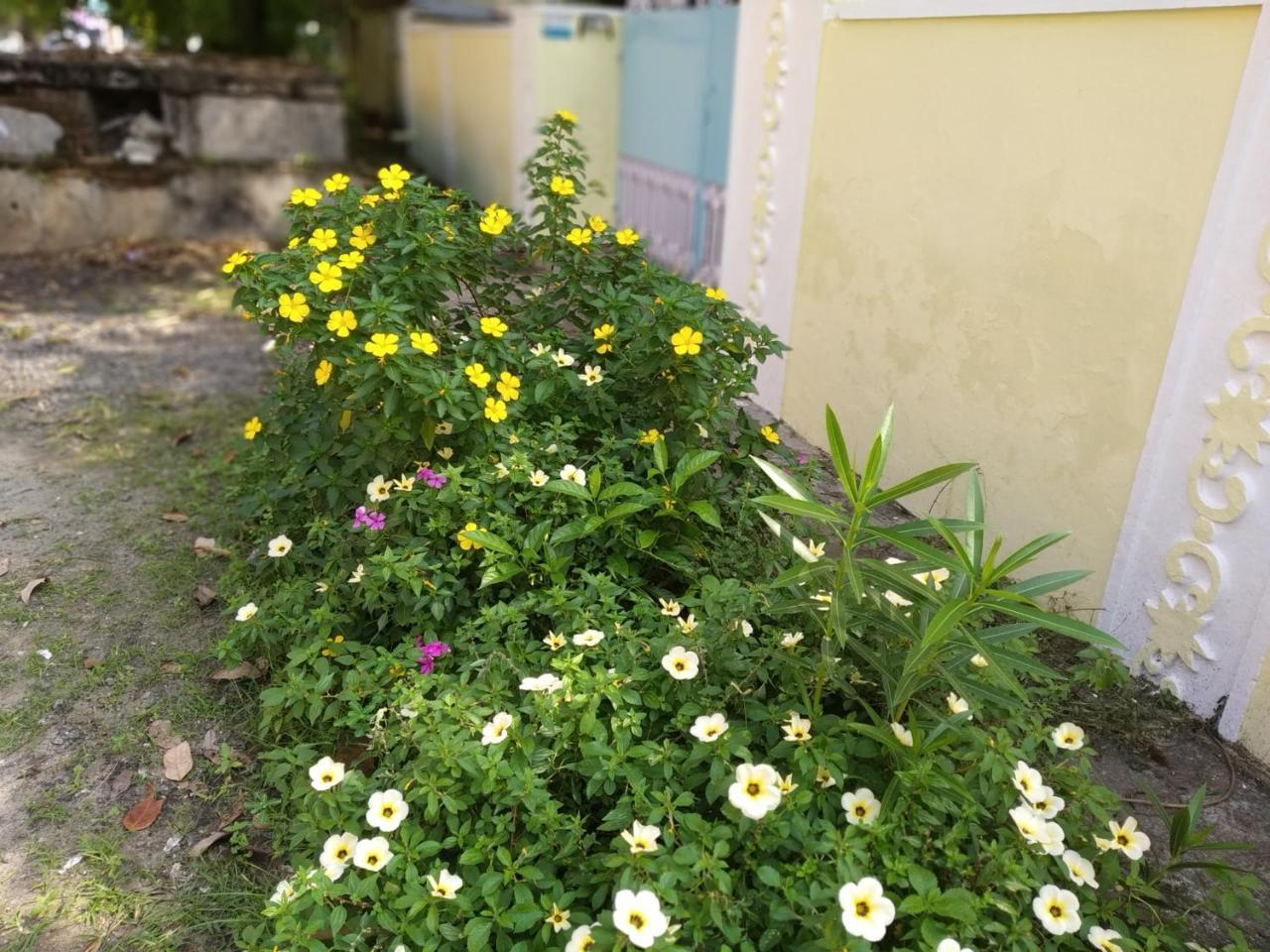 Casa Feliz Acomodação com café da manhã Fort Kochi Exterior foto